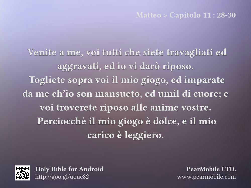 Matteo, Capitolo 11:28-30